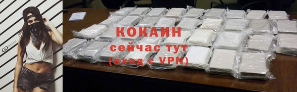 гашик Гусь-Хрустальный