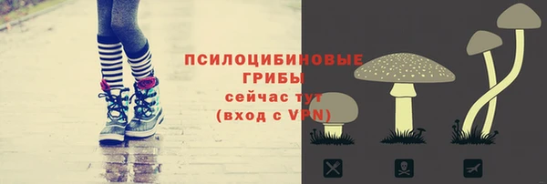 дмт Шарыпово