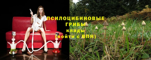 стафф Шали