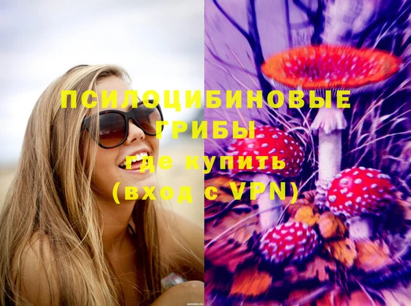 амфетамин Щучье