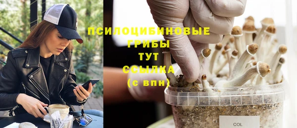 прущая мука Щигры