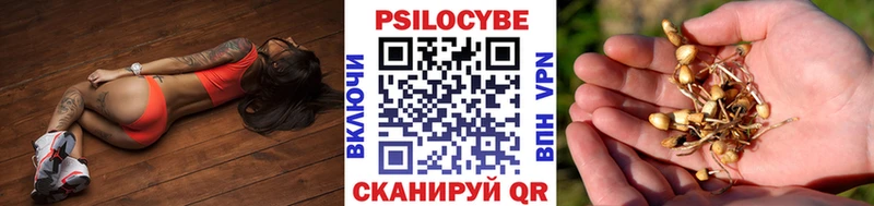 Псилоцибиновые грибы Cubensis  Купить закладки  Острогожск 
